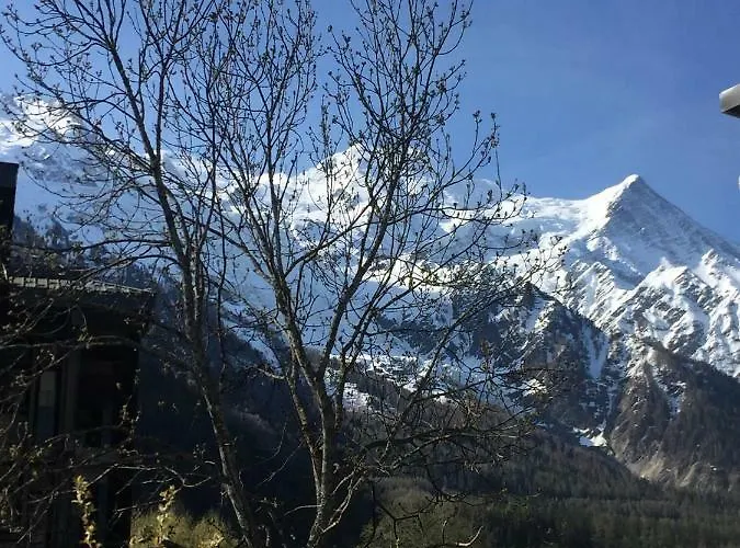 Appartement Grand Paradis